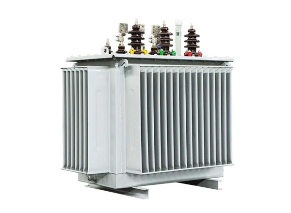 S22 10KV Oil Immersed Transformer