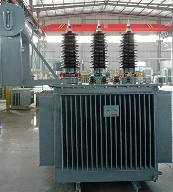 Oil-Immersed Transformer2