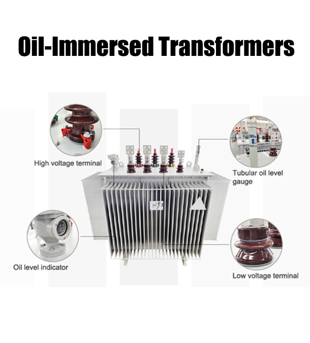 Oil-Immersed Transformer Structure
